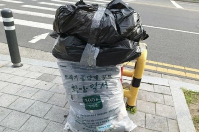 짜장범벅에 대한 충격적인 진실 대표 이미지