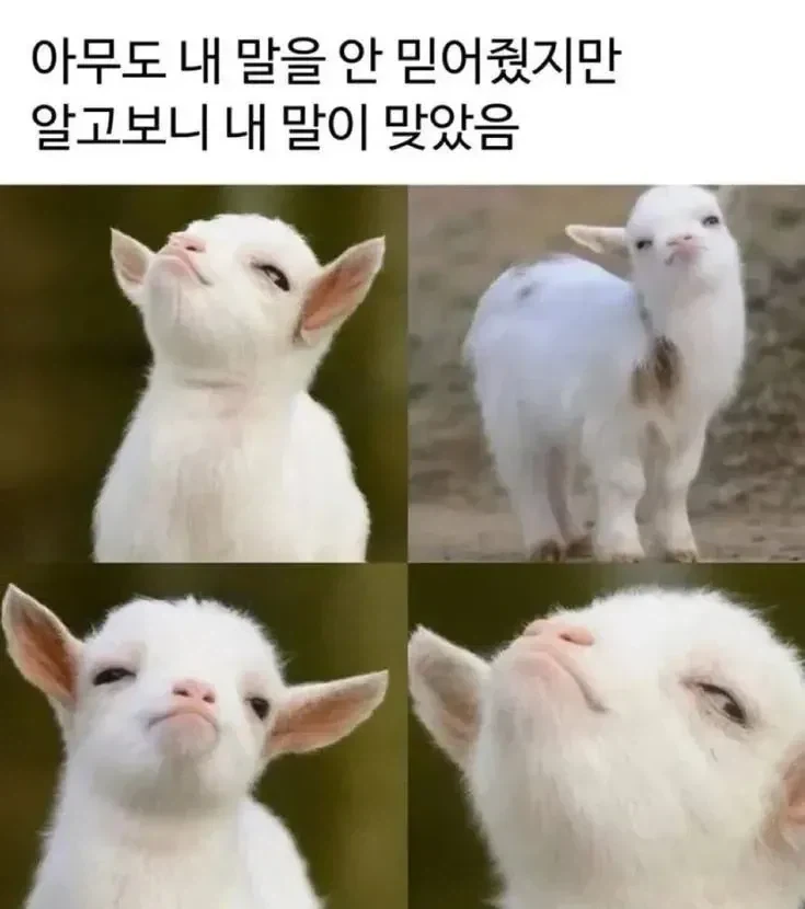 포토 앱 ㅁㅊㄴ아 이미지 2