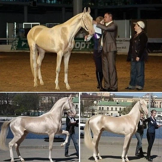 지하철 타고 가는데 누가 뒤통수를 자꾸 침.jpg 이미지 2