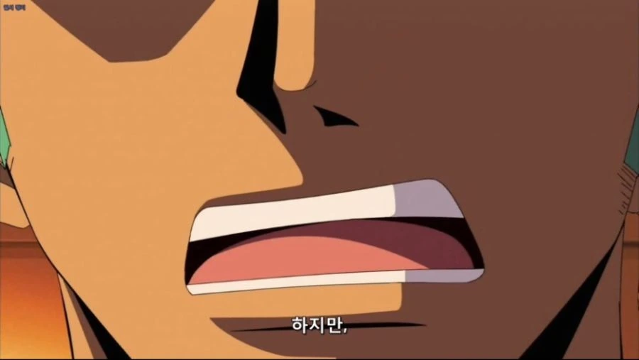원피스에서 조로의 부선장 역할 디테일 수준_2.jpg
