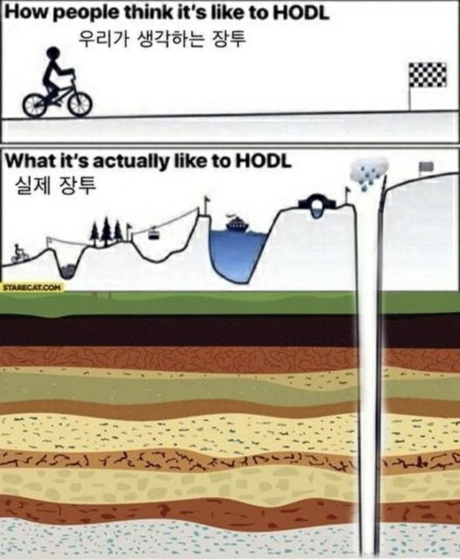 전기저항 믿고 고통나누기 쓰는 나무. 대표 이미지
