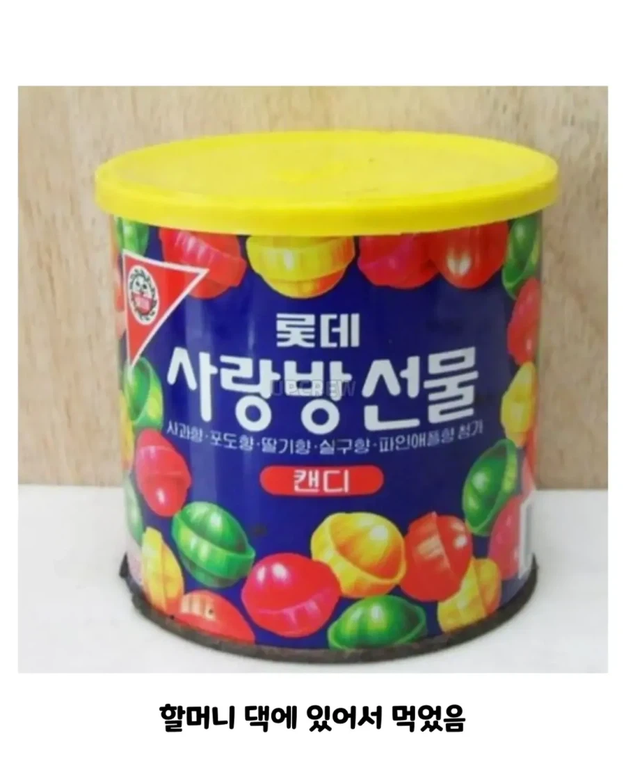 한때 장악했던 국민템들_9.webp