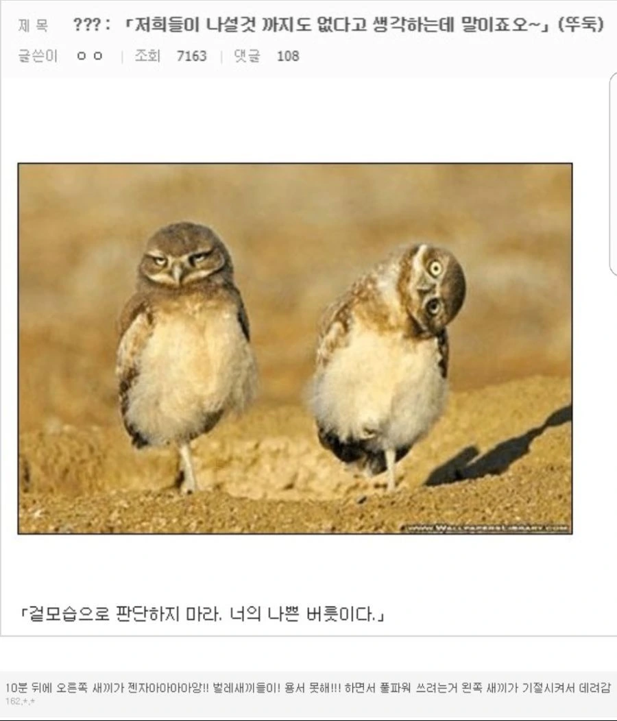 최고의 젤다 커플 만화 이미지 2