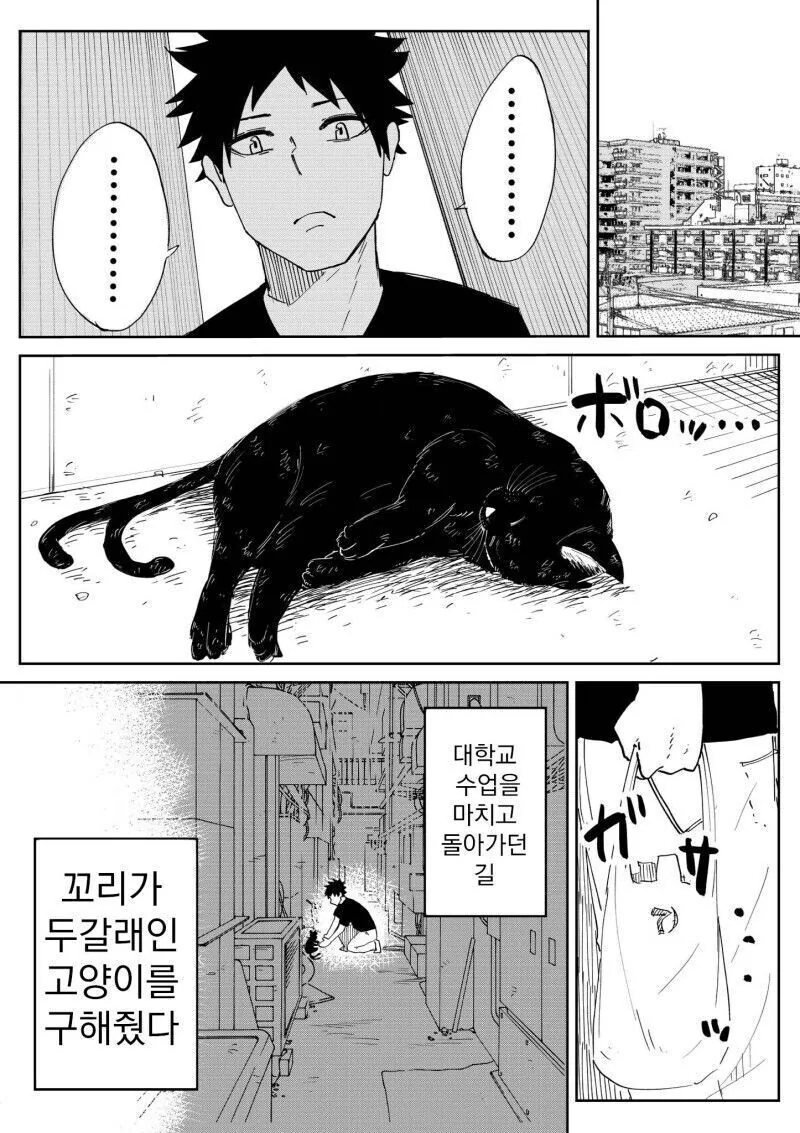 죠죠가 왜 게이만화 의혹이 있음 이미지 5