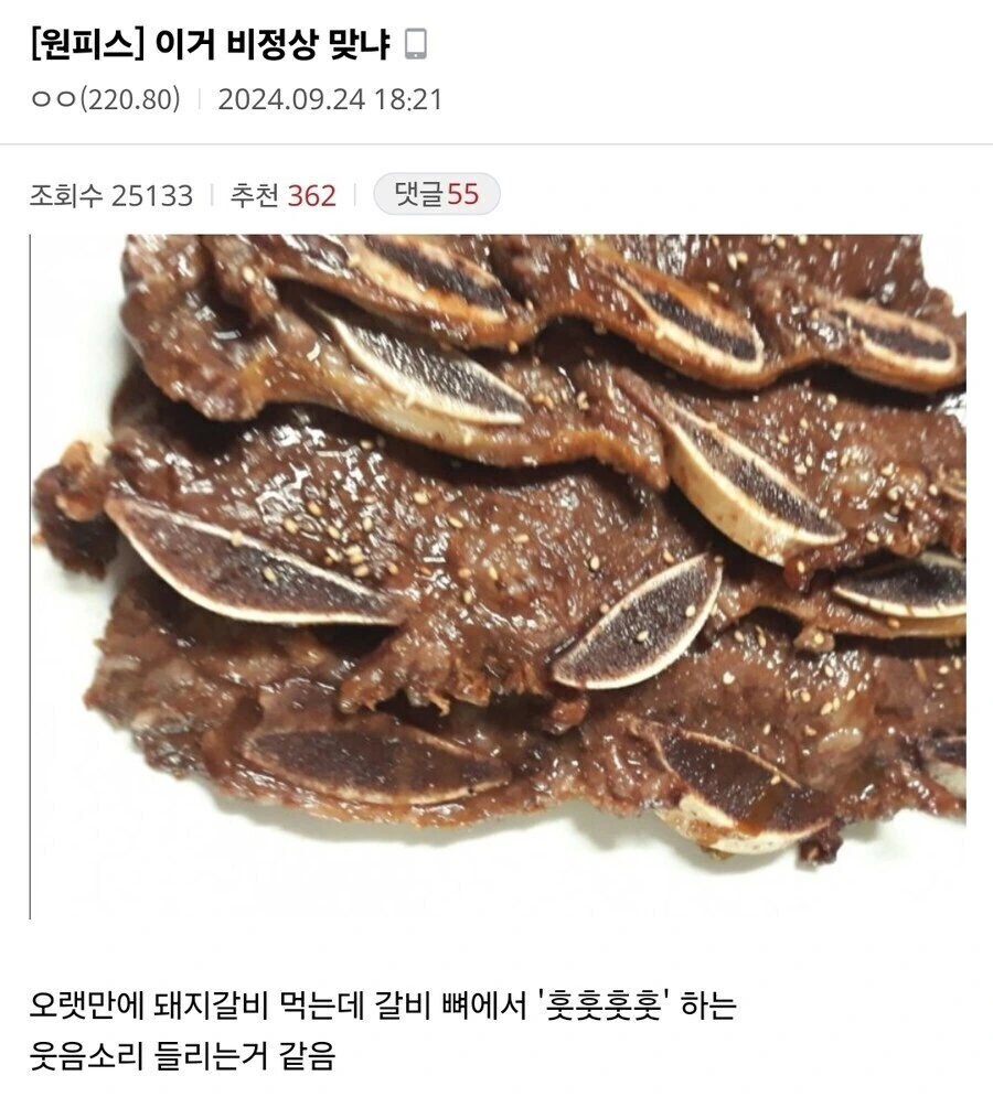 포켓몬) 썬문 캐릭터만 봤지 포켓몬은 쉽지않네; 대표 이미지