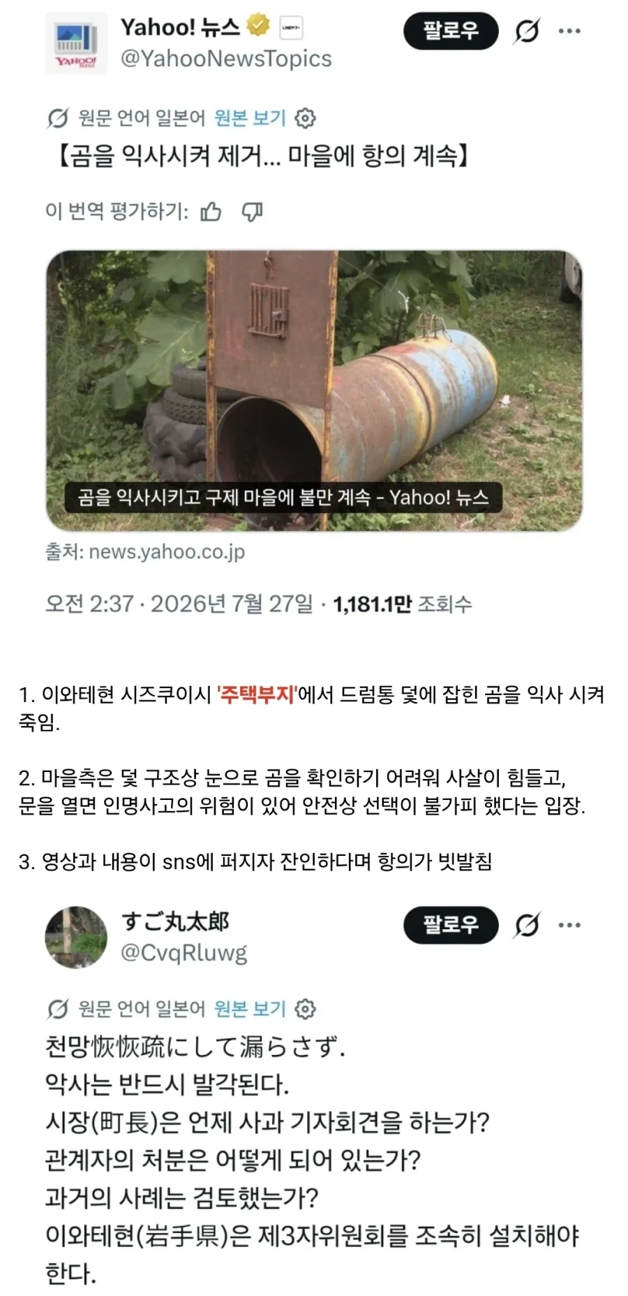 트릭컬)누군가의 욕망에서 탄생한 어사이드 영춘 대표 이미지