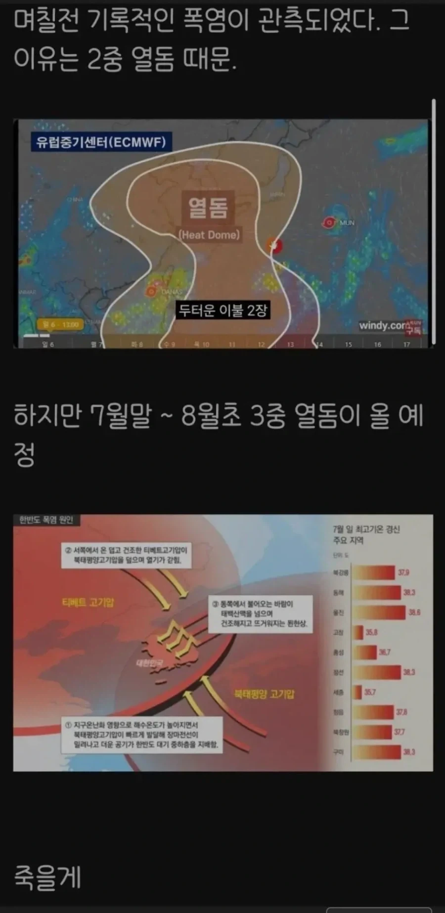 가장 튼튼한 쇼핑백.jpg 대표 이미지