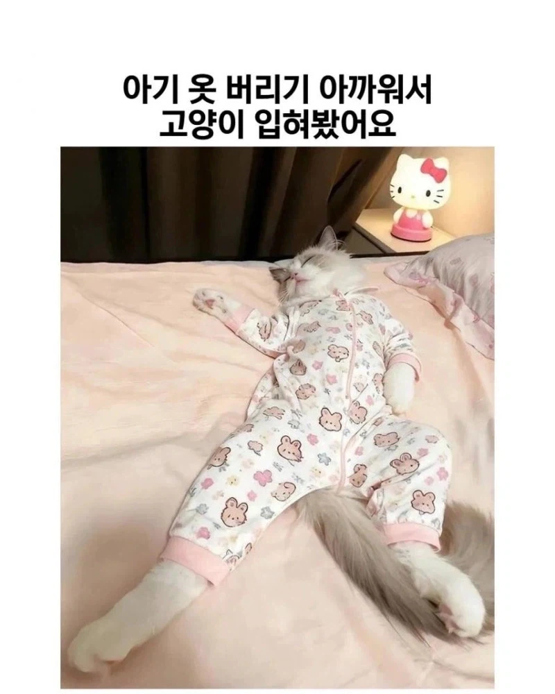 은혼) 작중에서 긴상과 대화가 성립되는 몇 안되는 인물 이미지 4