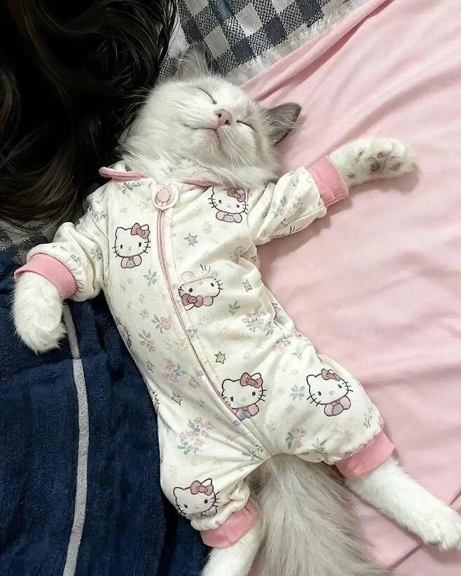 작아서 못 입게 된 아기옷 활용법.jpg_3.webp