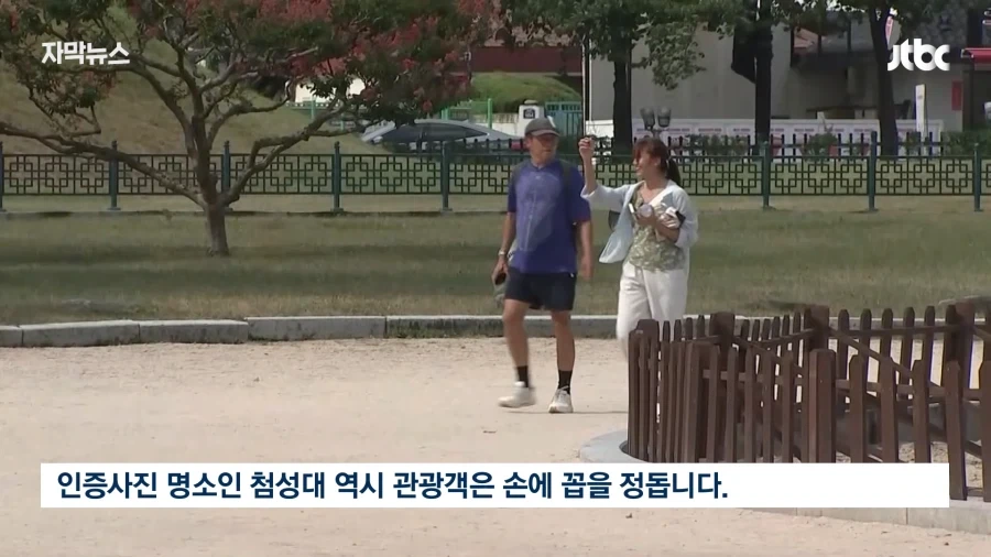 여름휴가는 역시 집구석에 박혀있는게 답인듯.jpg_12.webp