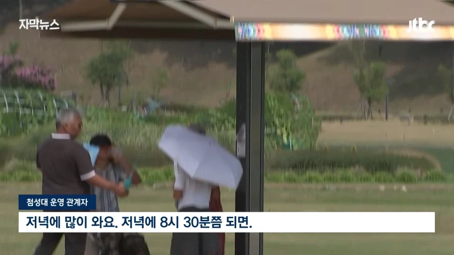여름휴가는 역시 집구석에 박혀있는게 답인듯.jpg_14.webp