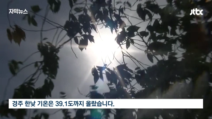 여름휴가는 역시 집구석에 박혀있는게 답인듯.jpg_19.webp