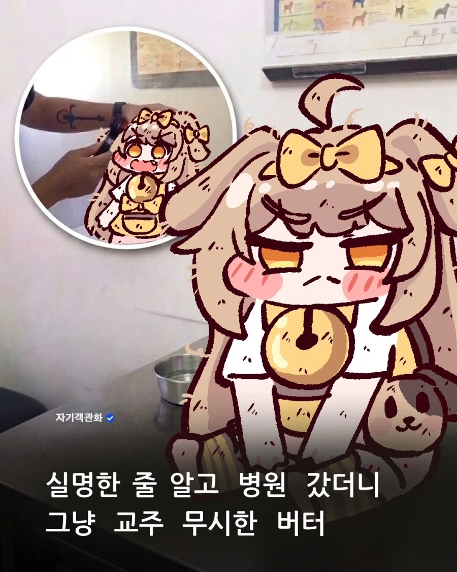 한국 사람들이 프랑스의 바게트를 처음 먹어보면 실망하는 부분 대표 이미지