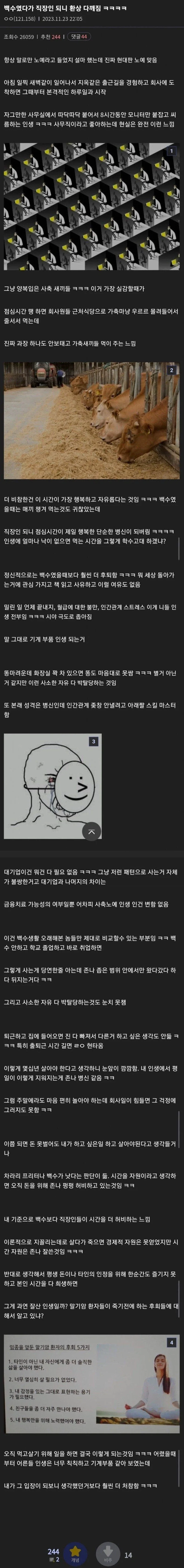 바다달팽이 보지냐 대표 이미지