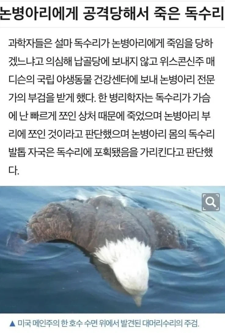 증권사별 하닉 목표주가.jpe 이미지 3