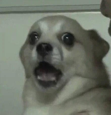 오빠 여친 생겼는데 학원 강사래 대표 이미지
