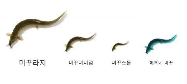 “예수? 우리 그 친구 엄청 좋아하는데.” 대표 이미지