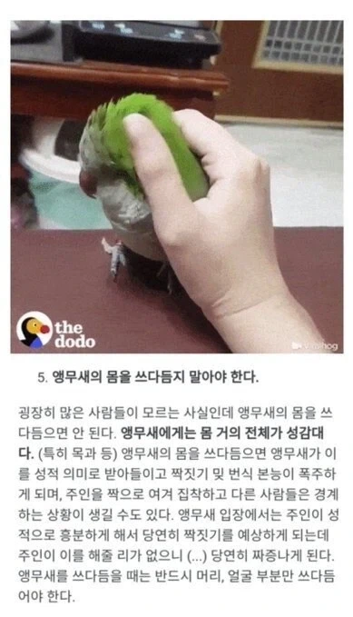 코치로서의 내 단점을 말해봐라 이미지 5