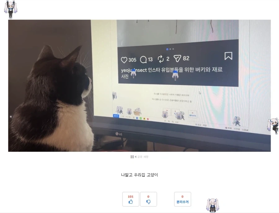 주식 하락장 대응법 이미지 4
