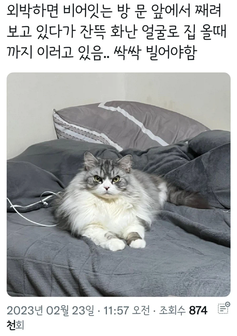 주식 하락장 대응법 이미지 3