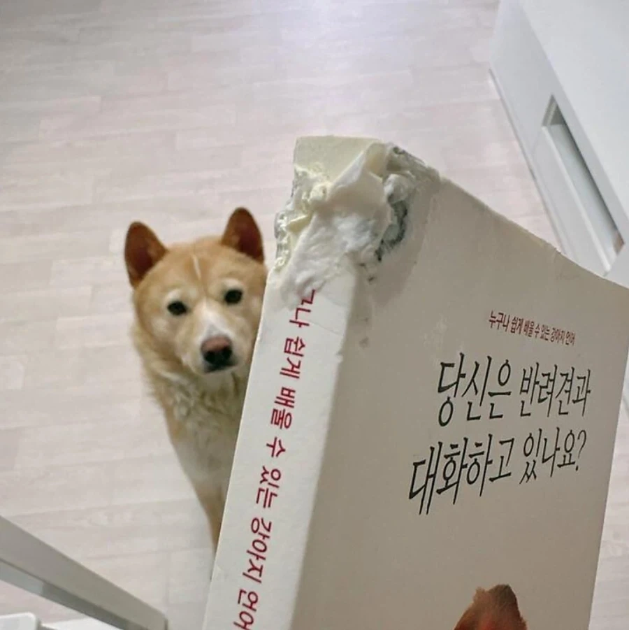 소녀가장 도로롱 대표 이미지