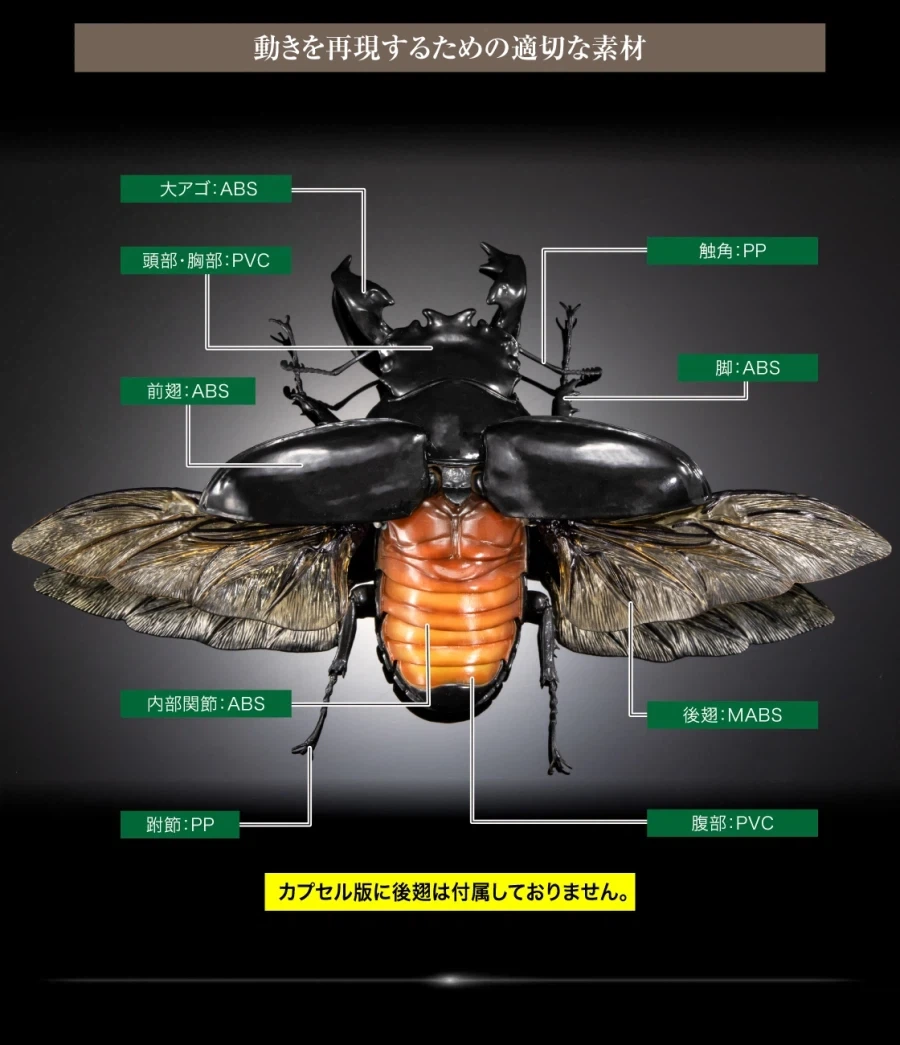 [반다이가샤폰] 생물대도감 어드밴스 쿠와가타(사슴벌레) 03_33.webp