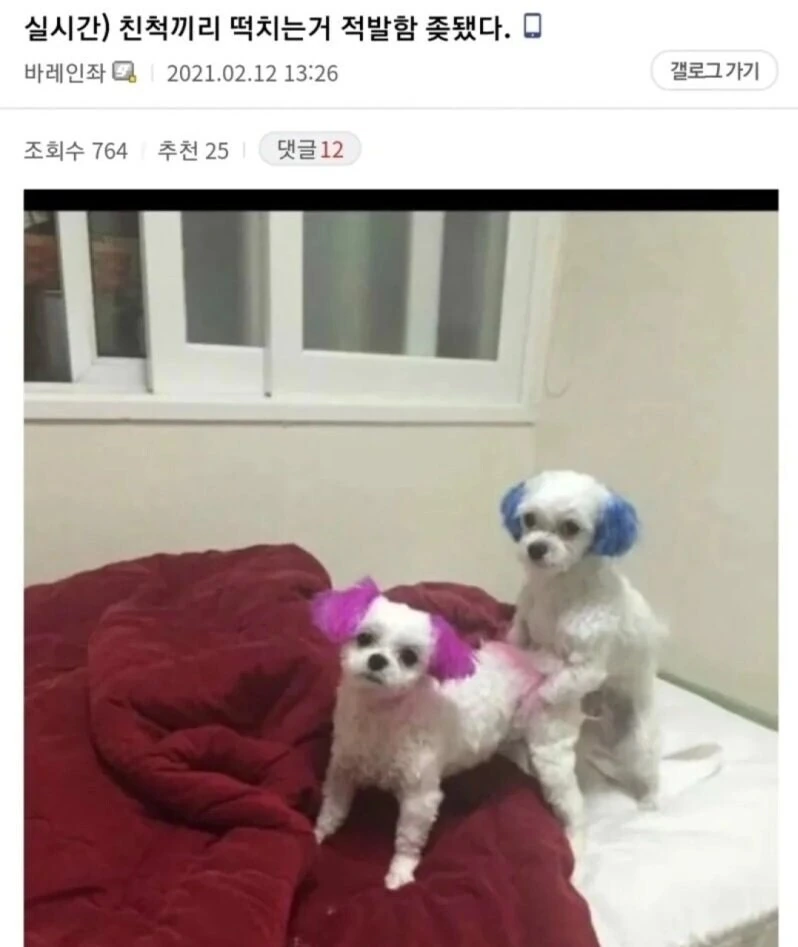 @) 납득하지 못하는 후유코.jpg 대표 이미지