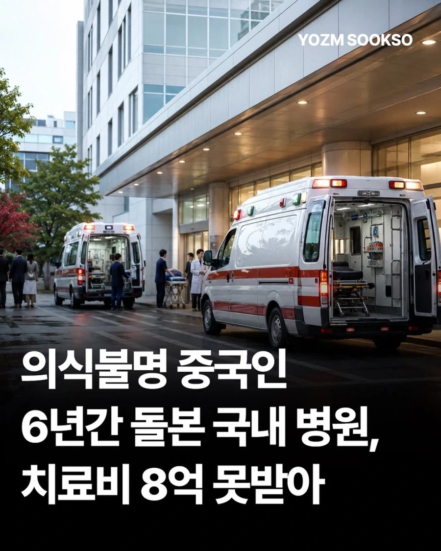 결혼하면서 신랑이 데려온 고양이가 자꾸 절 훔쳐봐요 이미지 3