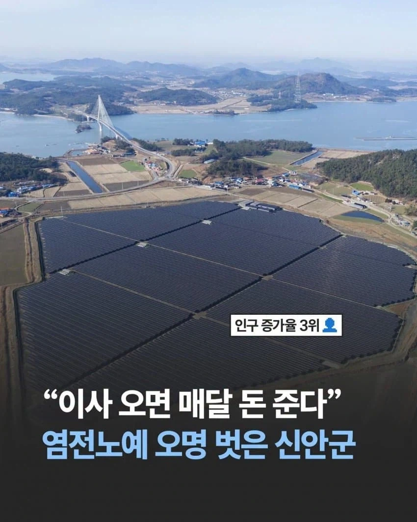 소니 PSVITA 게임기가 내 복돌이 인생을 바꿧다 (?) 대표 이미지