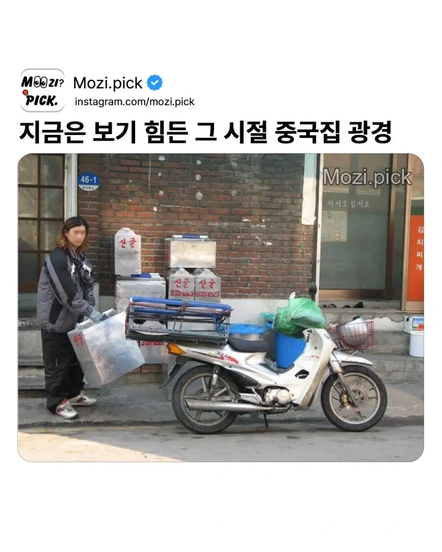 결혼하며 남편이 데려온 고양이가 날 관찰하는 중 대표 이미지