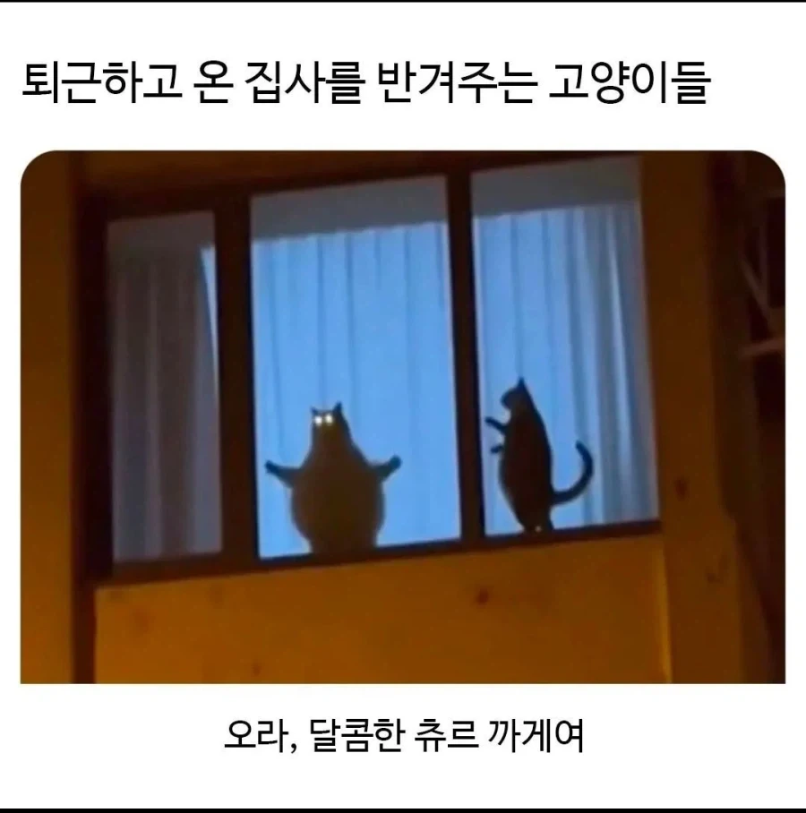 가면라이더) 젯츠 제츠 극장판 보고 난 뒤 감상평 이미지 2