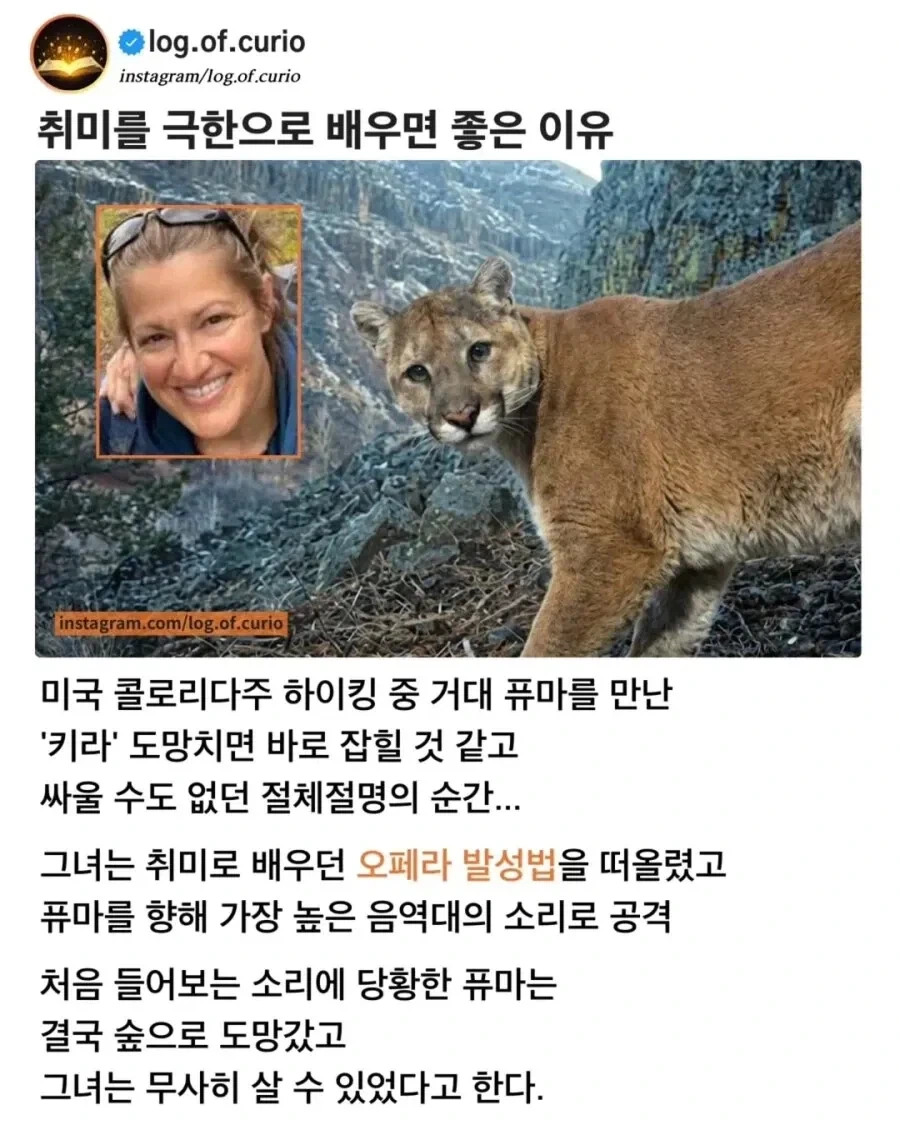 "거지같은 고양이 치워" 이미지 4