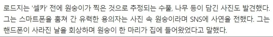 원숭이한테, 폰뺏긴 남자 촬영된 사진..jpg_7.jpg