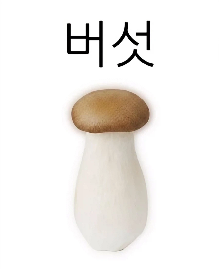 활쟁이 눈길을 사로잡기 대표 이미지