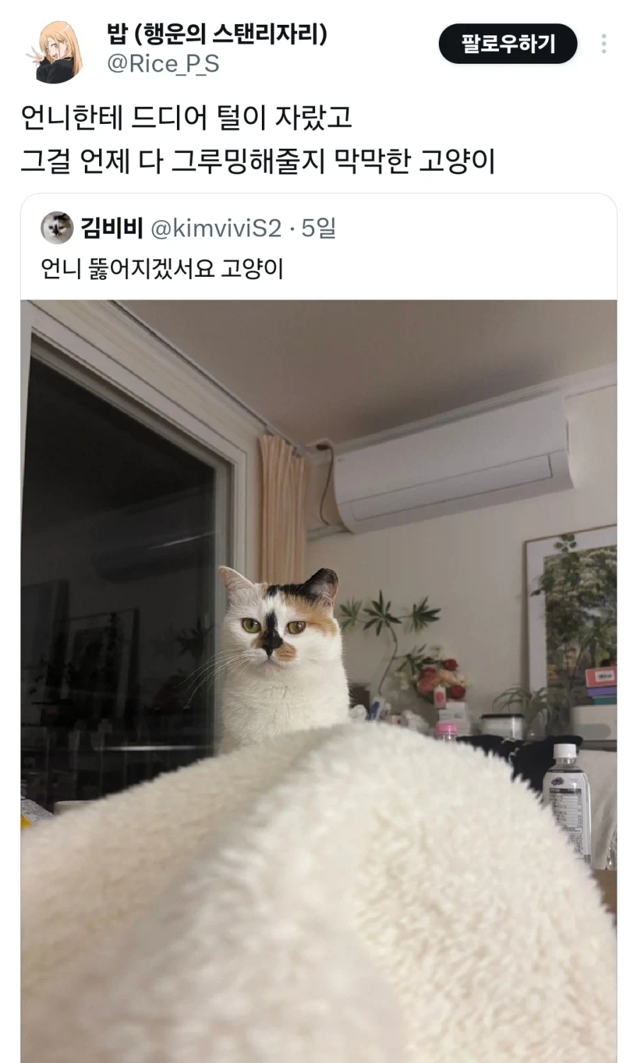 그리드맨)재미로 50억명쯤 죽인다면 이미지 2