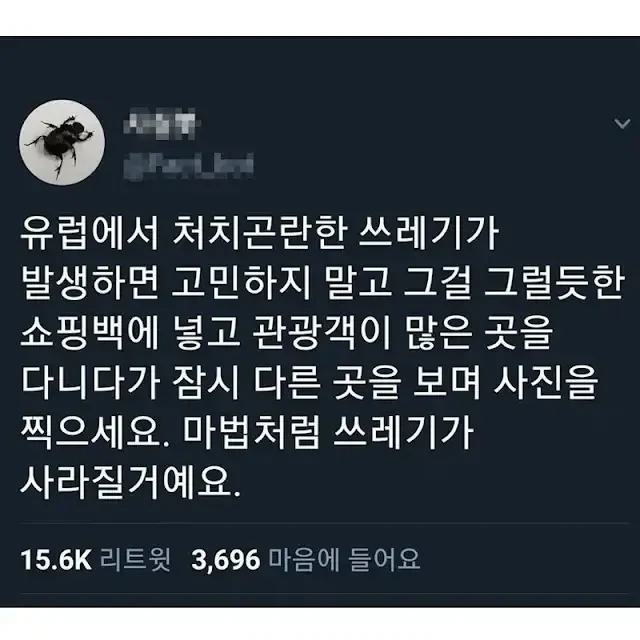 집에서 토끼를 키우면 느끼는 점 이미지 2