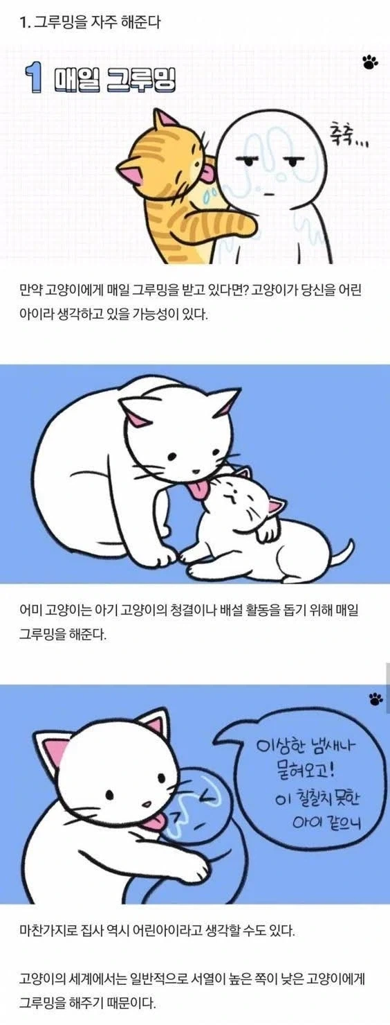 중화민국 시절 중국 군벌 목록.jpg 대표 이미지