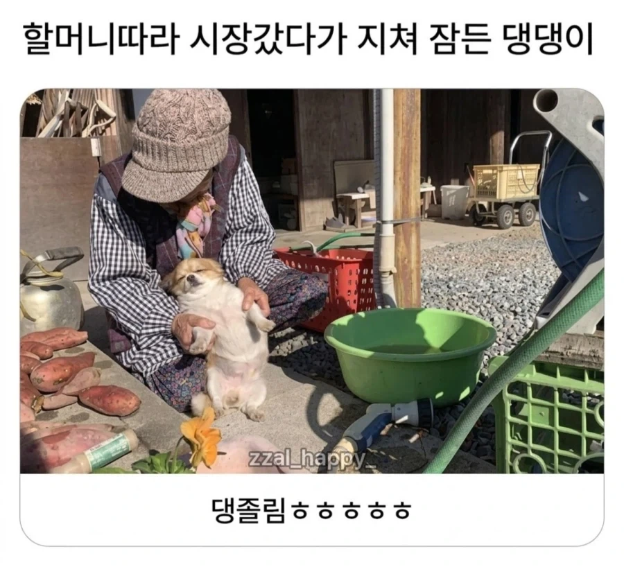 주식)국장 불장종료라는애들은 지능검사해봐야됨 이미지 3