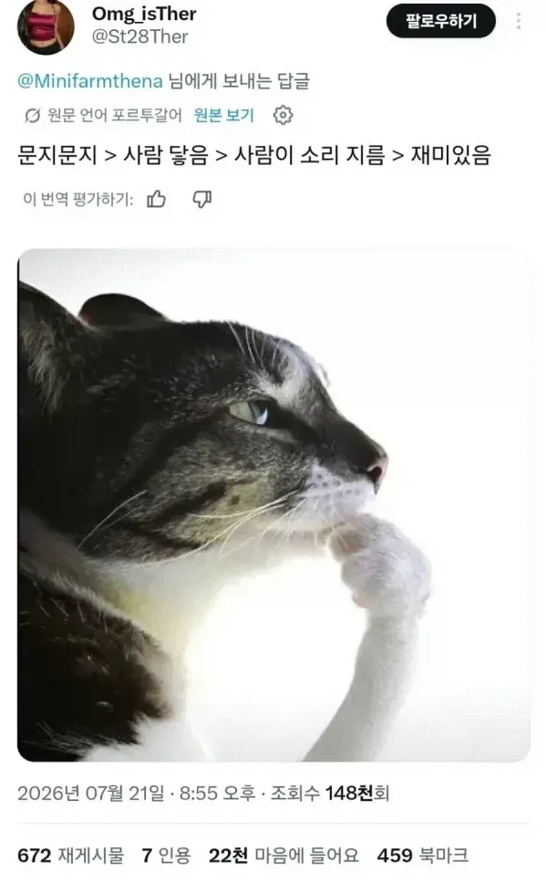 집사에게 전기 공격하는 고양이.jpg_2.webp