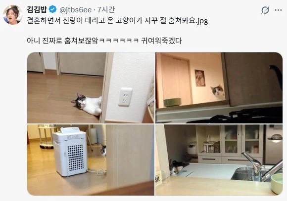 방과후 학교에서 협박당하는 이미지 3