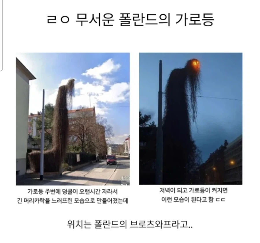 잘사는 나라임을 알리는 국가적 행사 대표 이미지