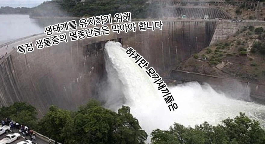 국기무스메) 예수상에 기도하는 국기들 대표 이미지