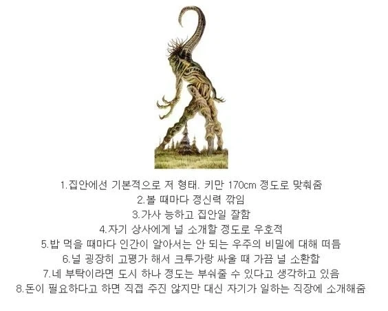 의외로 사이타마식 훈련에서 많이 놓치는 거 대표 이미지