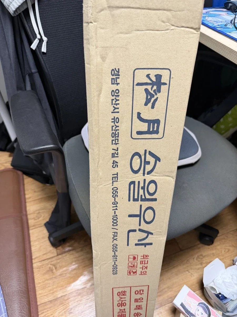 다카이치가 지지율 떨어져도 여성일왕 찬성 안하는 이유 대표 이미지