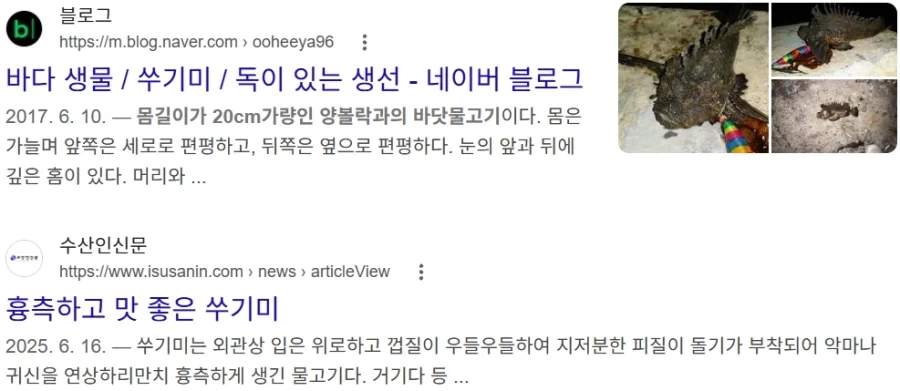 지금이 제철인 못생겼는데 맛 좋은 생선_3.webp