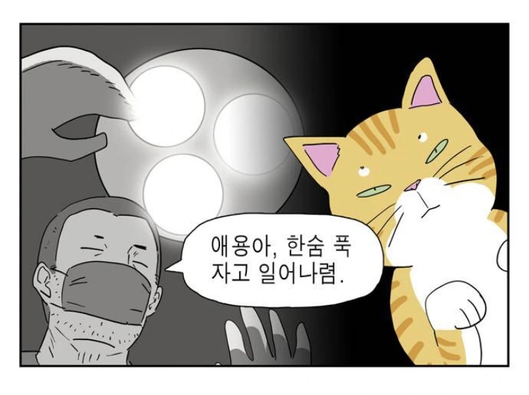 manga_3326331_003.webp