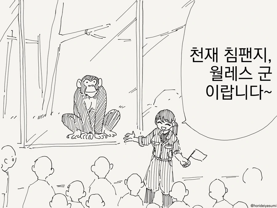 돼지선배 만화 옛날모습 특.jpg 대표 이미지