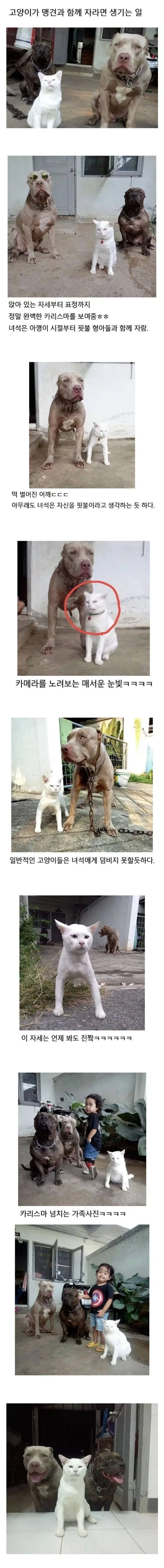 부산 사나이들의 꿈! 이미지 2