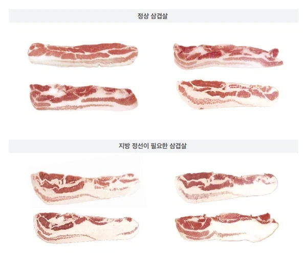 원피스 세계의 왕이 진짜 앵무새인가 싶은 컬러커버 이미지 4