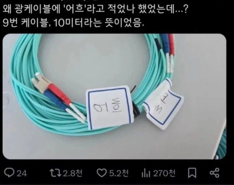 와 KOF96 30주년... 대표 이미지